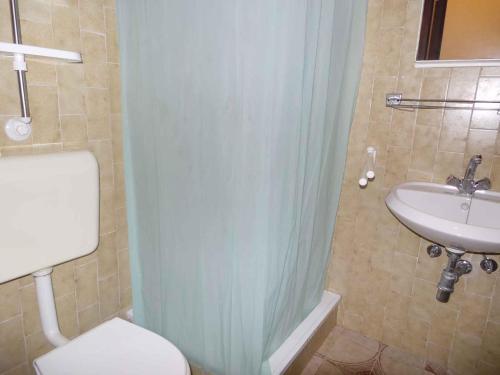Apartments Pjescana Uvala/istrien 17335