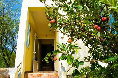 Apartments Maestral- On The Beach