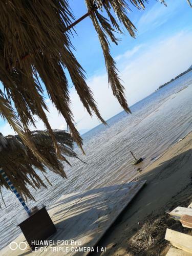 Apartman Ozana
