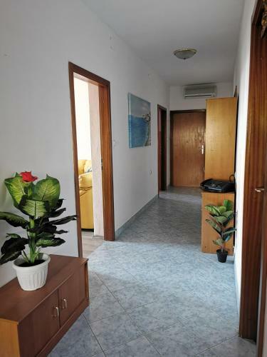 Luxury Apartment Duje