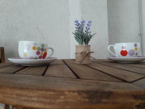 Studio Apartman Dvor