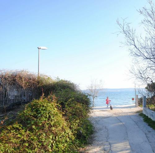 Spacious Apartment Antea