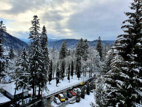 Laura Apartments Sinaia