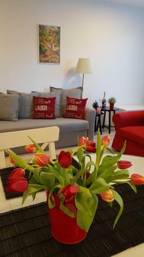 George Apartment Sinaia