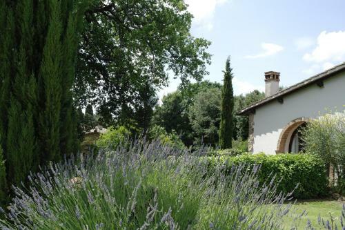 Apartamento Antico Casale Montaione