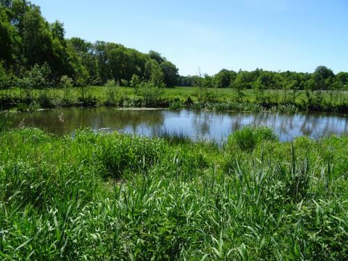 Apartamento Haus Wald Und Wiese Wohnung Wiese