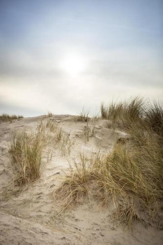 Apartamento Weidevilla 14 Auf Ameland
