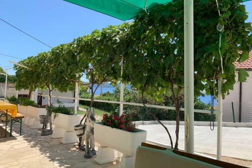 Apartment 5 With Pool And Amazing Sea View