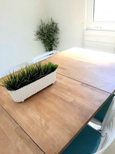 Apartments House Of Art