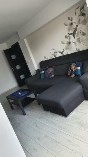 Apartament Modern T�rgovi?te �n Regim Hotelier