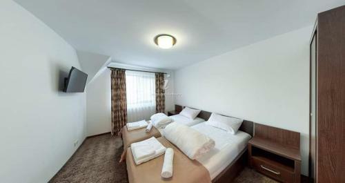 Hostal Pensiunea Magura Ocnei
