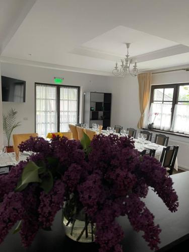 Hostal Pensiunea Alexa