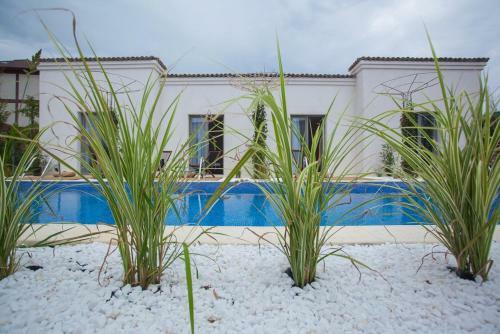 Hostal Elia Vama Veche (Adults Only)