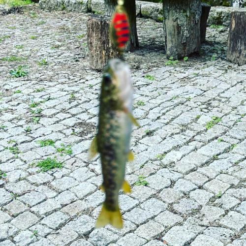 Moinho De Bri�o