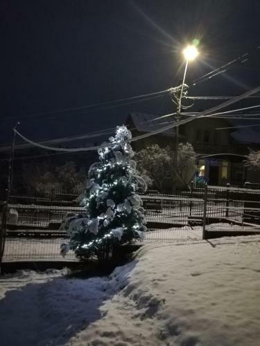 Hostal Apartamentul Ghioceilor