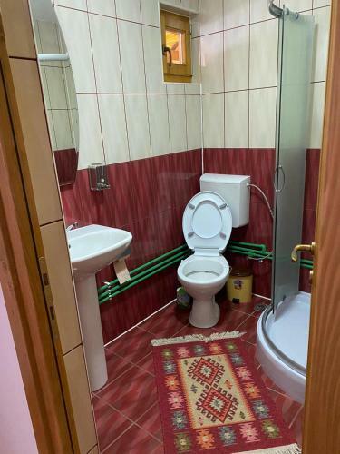 Hostal Floarea Reginei