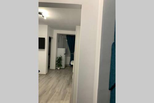 Cozy Studio Apartament Zalau