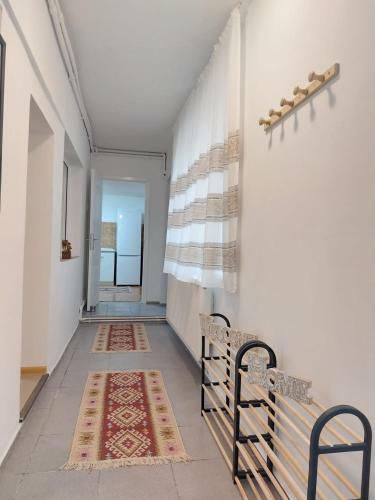 Villa Vila Dor Z?rne?ti