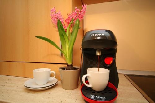 Apartamento Lotus 3