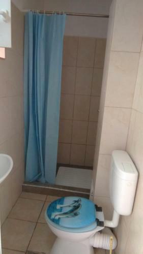 Hostal Vila Stefan Pescarusului Costinesti
