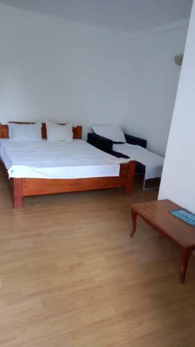 Hostal Vila Stefan Pescarusului Costinesti
