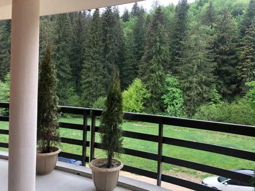 Apartamento Maya Luxury Residence