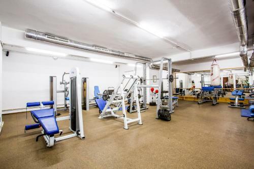 Alpin Resort Apartament Executiv