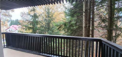 Alpin Resort Apartament Executiv