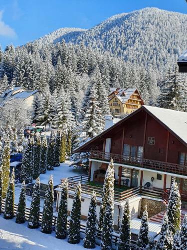 Apartament Ozon Poiana Brasov