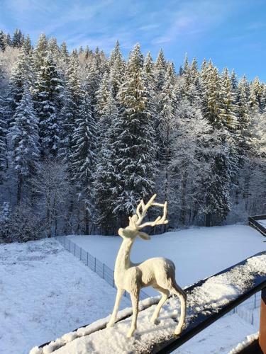 Apartament Ozon Poiana Brasov