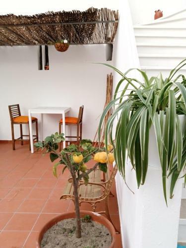 Bed & Breakfast Casa Da Umbria
