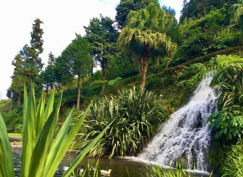Azores Casa Hawaii