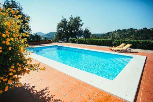 Villa F�tima-our�m - Quinta Da Luz - Breakfast Included