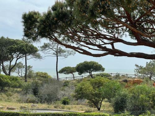 Praia Da Fal�sia Alfa Mar Albufeira