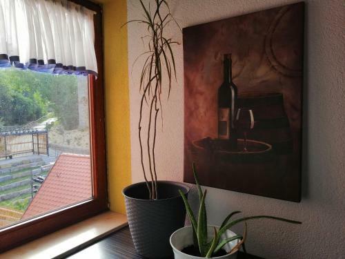 Hostal Gasthof-pension Wilder Mann