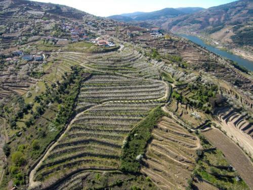 Villa Quinta Do Pombal Douro