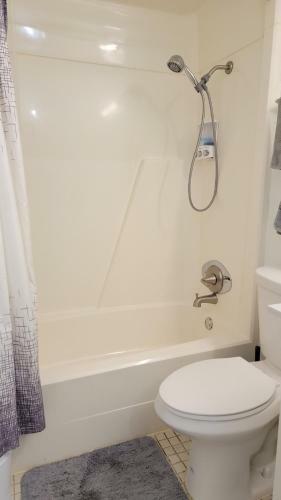 Comfy Apartment Next To Oaks Mall Gainesville