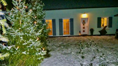 Steyr City Apartment Mit 2 Schlafzimmer