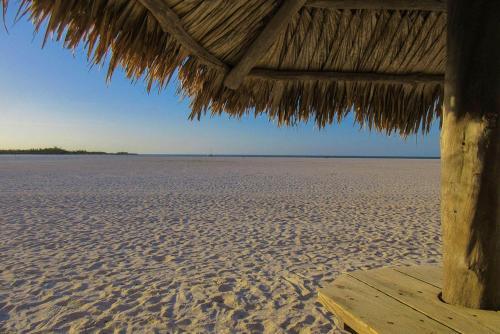 Castle Beach 302 By Kathy Nesbit Vacations