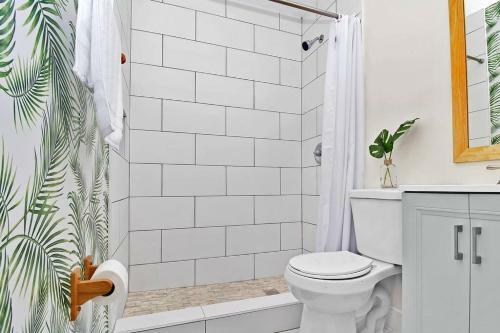 Tropical Studio In Hollywood Florida