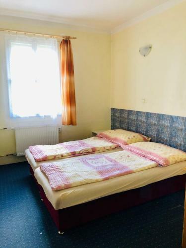Hotel Penzion Horsk� Chata Sv?tl�