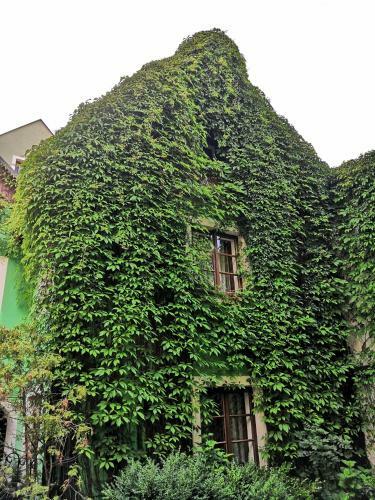 Hostal Apartm�ny V Centru U Moravc?