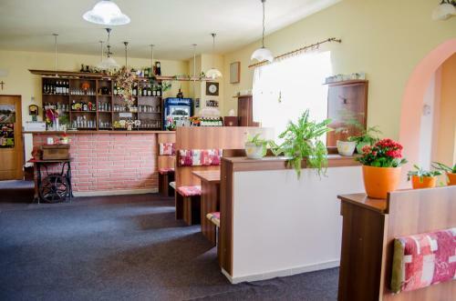 Hostal Penzion Vin�rna U Hroznu