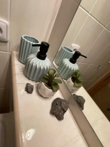 Prvn� Apartm�n V�tkovice