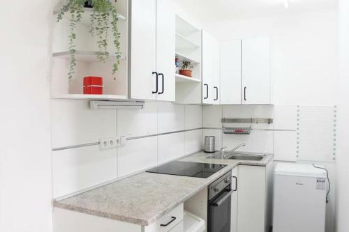 Apartm�n Kopec, Se Zahr�dkou