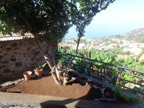 Agroturismo Casa Carreira
