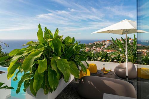 Casas Da Vargem Shared Swimming Pool By An Island Apart