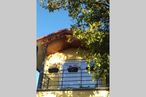 Recanto Tia S�o Magalh�es