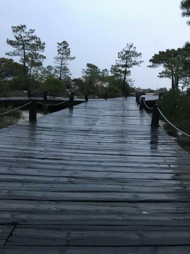 Casa Braites Moradia T3 Soltroia Mar