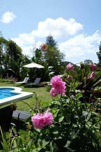 Agroturismo Pink House Azores